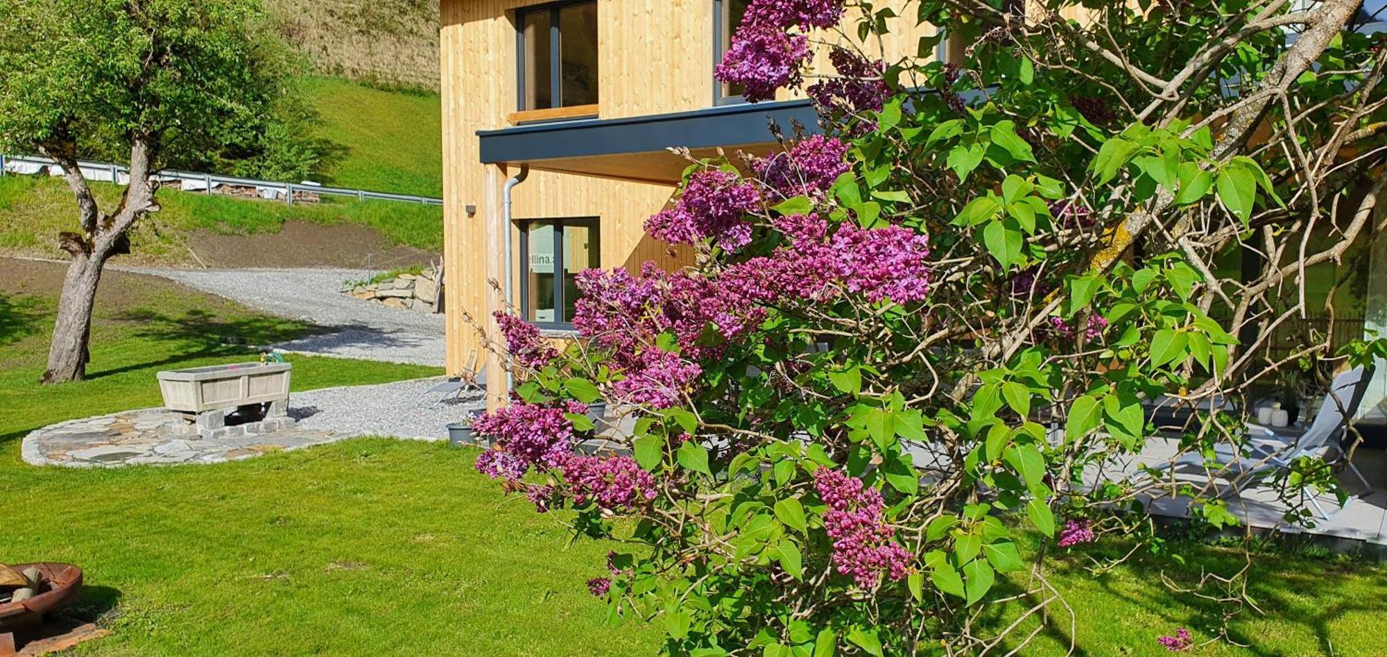 Haus Valtellina Villa Galgenul Dış mekan fotoğraf